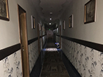 Galerie Foto
